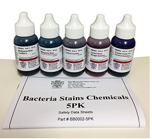 Bacteria Stain Chemicals, Set of 5, BB0002