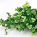 DTOL 2 x Artificial Plants,Plastic Greenery Shrubs UV Resistant Fake Outdoor Plants Plastic Shrubs for Farmhouse Home Garden Wedding Indoor Outside Decor (Green)