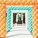 Tatuo 49 Feet Balloon Arch Strip Tape Clear Balloon Garland Kit for Wedding Party Decorations