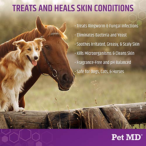 Pet MD MicosebCX Medicated Shampoo for Dogs, Cats, Horses with