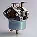 Dosens 632334A Carburetor Compatible for Tecumseh 632370A 632110 632111 632334 632370 632536 640105 7hp 8hp 9hp HM70 HM80 HMSK80 HMSK90 John Deere AM108405 AM100246 Toro 38080 38083