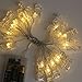 JUISEE LED Photo Clip String Lights Home Decor Indoor/Outdoor, Battery Powered String Lights Lamp for Home/Party/Christmas Decoration Christmas Birthday Wedding Party Festival Decor