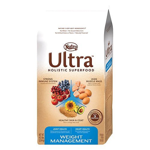 nutro weight management dog food