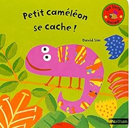 Petit Caméléon se cache !