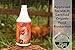 Big Ole Bird - Poultry Probiotic - Quart by Southland Organics