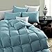 SNOWMAN Premium Down Comforter Queen Size, Luxurious All Season Duvet Insert with Cotton Blended Fabric, 37oz Fill Weight 3D Baffle Box Design Hotel Bedding Comforter (Blue,90