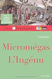 Micromégas