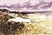 Martha's Vineyard: An Affectionate Memoir