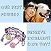 TOYSBOOM Squeaky Dog Toys 5 Piece Dog Rope Toys Puppy Flossy Chew Rope Tug Toy for Small, Medium Dogs, Value Pack Dog Toy