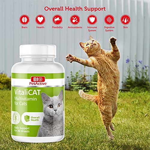 Do Pregnant Cats Need Vitamins: Essential Guide for Healthy Kittens