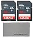 2 Pack SanDisk 32 GB Class 10 SDHC Flash Memory Card works with Bestguarder HD IP66 Infrared Night Vision Game & Trail Hunting Scouting Ghost Camera - W/ Everything But Stromboli (tm) MicroFiber Cloth
