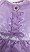 Girls Rapunzel Deluxe Princess Dress Costume (7-8)