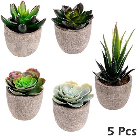 5pc Faux Succulent Artificial Succulent Cactus Fake Cacti Plants With Gray Pots With Green Amazon Ae