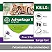 Advantage II Large Cat Vet-Recommended Flea Treatment & Prevention | Cats Over 9 lbs. | 2-Month Supply