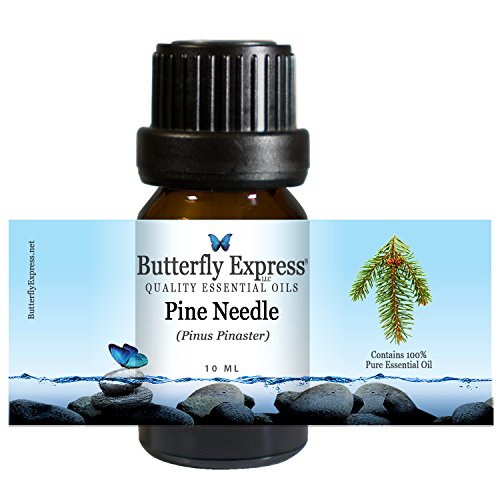 Pine Needle Essential Oil 10ml - 100% Pure - by Butterfly Express