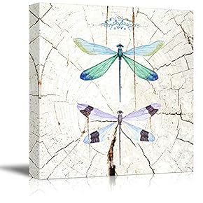 Square Canvas Wall Art - Watercolor Style Dragonflieson Vintage Wood Effect Background - Giclee Print Gallery Wrap Modern Home Art Ready to Hang - 12x12 inches