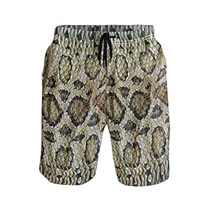 51E8g%2BwbmML. SS300