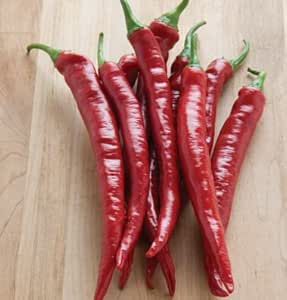 Pepper Andy Red 25 Hybrid Seeds by David's Garden Seeds