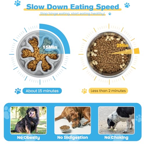 Zivacate Adjustable Raised Dog Bowls with 6 Heights and Inclined Angle with 2 Stainless Steel Bowls and 1 Slow Feeding Bowl for Small Medium Large Dogs