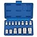 Neiko 04300A External Star Torx Socket Set, E4 to E24 | 14-Piece Set, Cr-V Steel, 1/4", 3/8" and 1/2-Inch Drive Female E-Torx primary