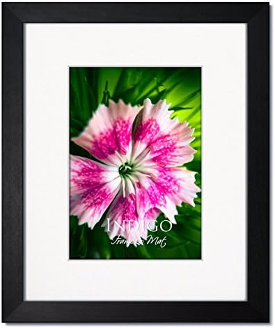 One 16x20 Gallery II: Black Hardwood Picture Frames with Clear Glass and Single White Mat for 12x16 (1)