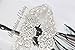 Trlyc New Vintage Crystal Wedding Belt Dress Belt Crystal Rhinestone Pearl Bridal Sash