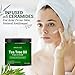 Tea Tree Oil Face Cream by Majestic Pure – Therapeutic Grade, Infused with Ceramides, for Acne Prone Skin Care – Fights breakouts and Fungus – Moisturizing, 8 ozthumb 1