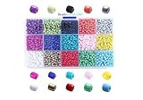 Efivs Arts 2500pcs Multicolor 4mm Pony Seed Beads for DIY Bracelets,Necklaces, Key Chains and Kid Jewelry Bead Box Kit,J002