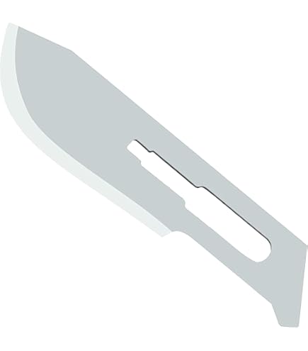 Cuchillas Quirúrgicas Estériles De Acero Inoxidable - Fracter MD