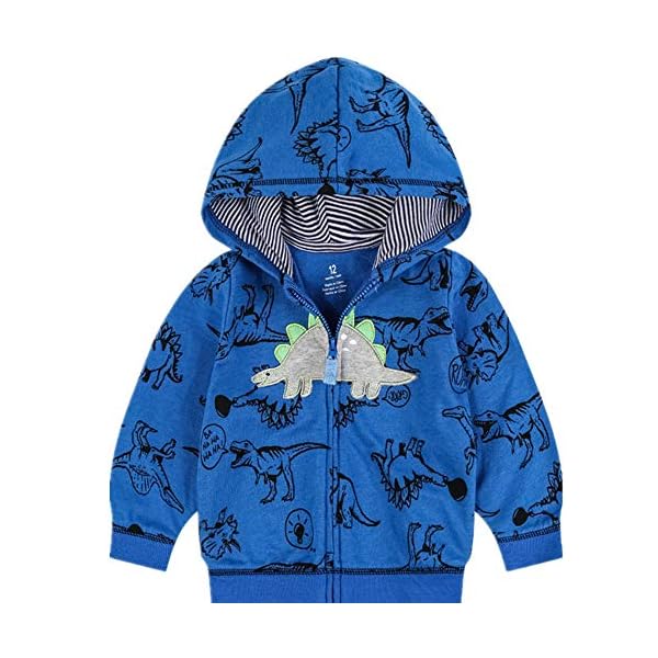 Toddler Boy Crewneck Sweatshirt Dinosaur Shirts Long Sleeve Cartoon Pullover Sweater for Kids