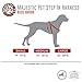 Majestic Pet Dog Harness-Best No Pull Harness for All Dogs-Sizes Large, Medium, Small-Adjustable and Heavy Duty No-Pull Leash & Harness & Walking Collar-Combo [HARNESS-25x40 & LEASH-1x6ft]-Black