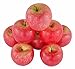 JEDFORE Fake Apples Artificial Red Apples Simulation Lifelike Fruit Set for Home House Kitchen Wedding Party Decoration Photography (8Pcs)