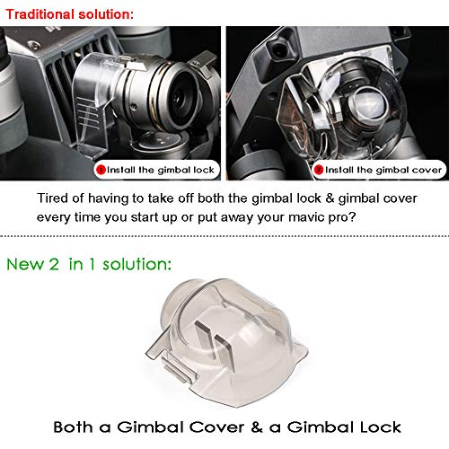 1 Arzroic+Protector+Accessories+Platinum+Version