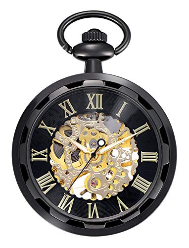 Carrie Hughes Pocket Watch Steampunk Skeleton Hand-Wind Roman Numerals Antique Chain Mens Womens CH397