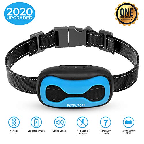 bark and training collar in one