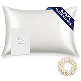 ALASKA BEAR Silk Pillowcase for Hair and Skin, 100% Mulberry Silk Pillow Cases Queen Size for Beauty and Cool Sleep, Scrunchy Gift Set, Natural White(1pc, Ivory)