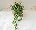2 Pcs Artificial Hanging String of Pearls Plant Fake Succulent Hanging Artificial Succulent Plants, String of Pearls, 13.4 inch Hanging Basketplant, Lover Tears Plants