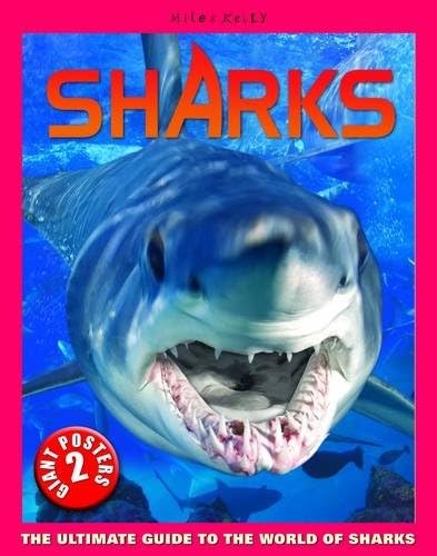 Sharks Poster Book (Poster Books)