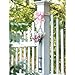 My Eco Glass Couronne Co. Florence Hanging Pendant Tube Vase with Wall Hook, M044-001, 16.5 Inch Tall, 2.7 Ounce Capacity, Clear (1)