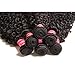 Nadula 8A Unprocessed Brazilian Curly Virgin Human Hair with Free Part Lace Closure Pack of 4 Remy Human Hair Natural Color (16 18 20+14closure)