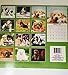Puppies 12-Month 2017 Calendar