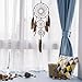 Ricdecor Dream Catcher Handmade Traditional White Feather Dream Catcher Wall Hanging car Hanging Decoration Ornament (Brown 3Circles)