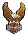 Harley-Davidson Eagle Winged Large Brown Patch, 7-3/4/'' x 10-1/4'' EMB328394