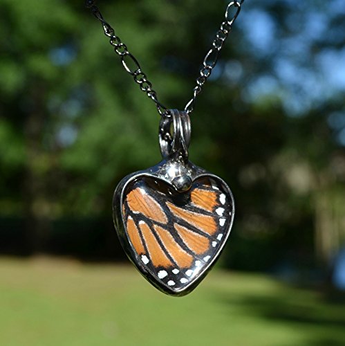 image for BayouGlassArts Handmade Monarch Butterfly Wing in Glass Pendant, Heart