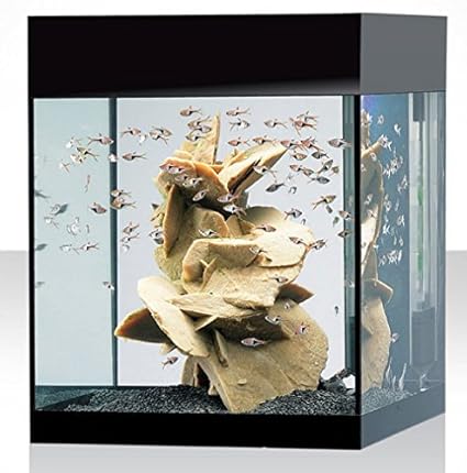 Acquario kit m absolute black askoll acquario nero AA350005