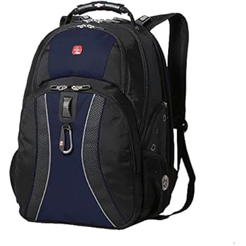 swissgear ace backpack