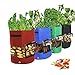 Zedco 1PC Red Plant Grow Bags by Thickened PVC and Nonwoven Fabric for Potato/Plant Pots with Transparent Windowthumb 2