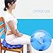 EVEROVE Air Inflatable Seat Cushion 17