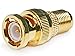 Monoprice 104125 BNC Male to F Female Adaptor, Gold Plated, 1.7 x 0.8 x 0.8 inches