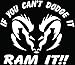 Can't Dodge It Ram It Car Truck Window Bumper Vinyl Graphic Decal Sticker- (6 inch) / (15 cm) Wide GLOSS WHITE Color